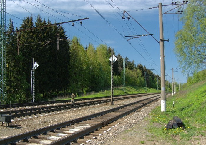 Лесной путь